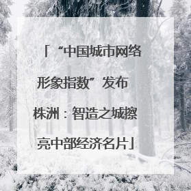 “中国城市网络形象指数”发布 株洲：智造之城擦亮中部经济名片